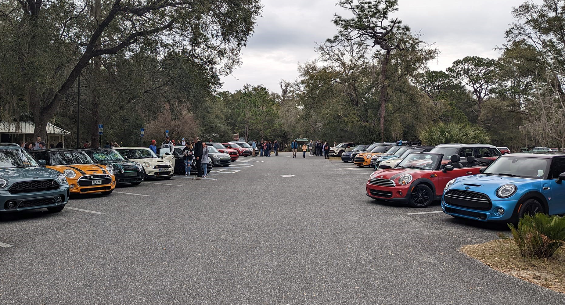Line Up of MINIs at Sunshine MINI Owners Group Picnic Event