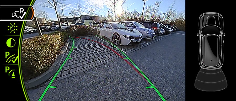 Ferman MINI of Tampa Bay in Palm Harbor FL