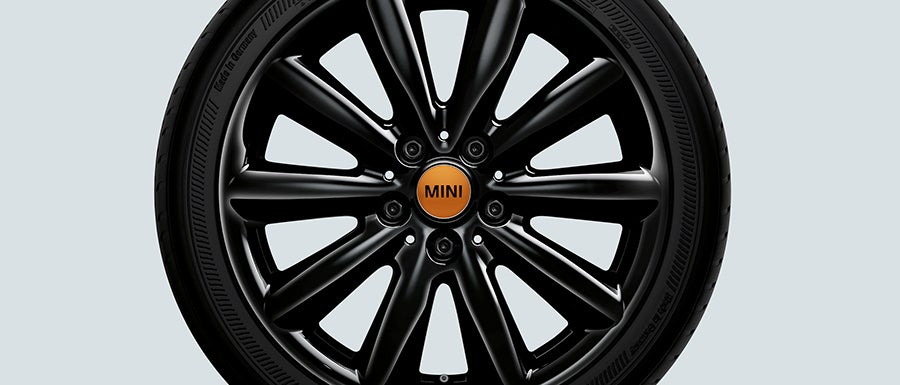 Ferman MINI of Tampa Bay in Palm Harbor FL