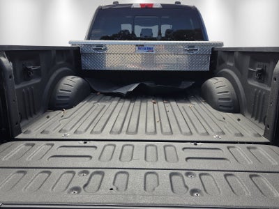 2020 Ford Super Duty F-250 SRW Platinum