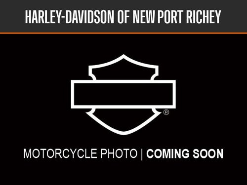 2021 Harley-Davidson HARLY D Base