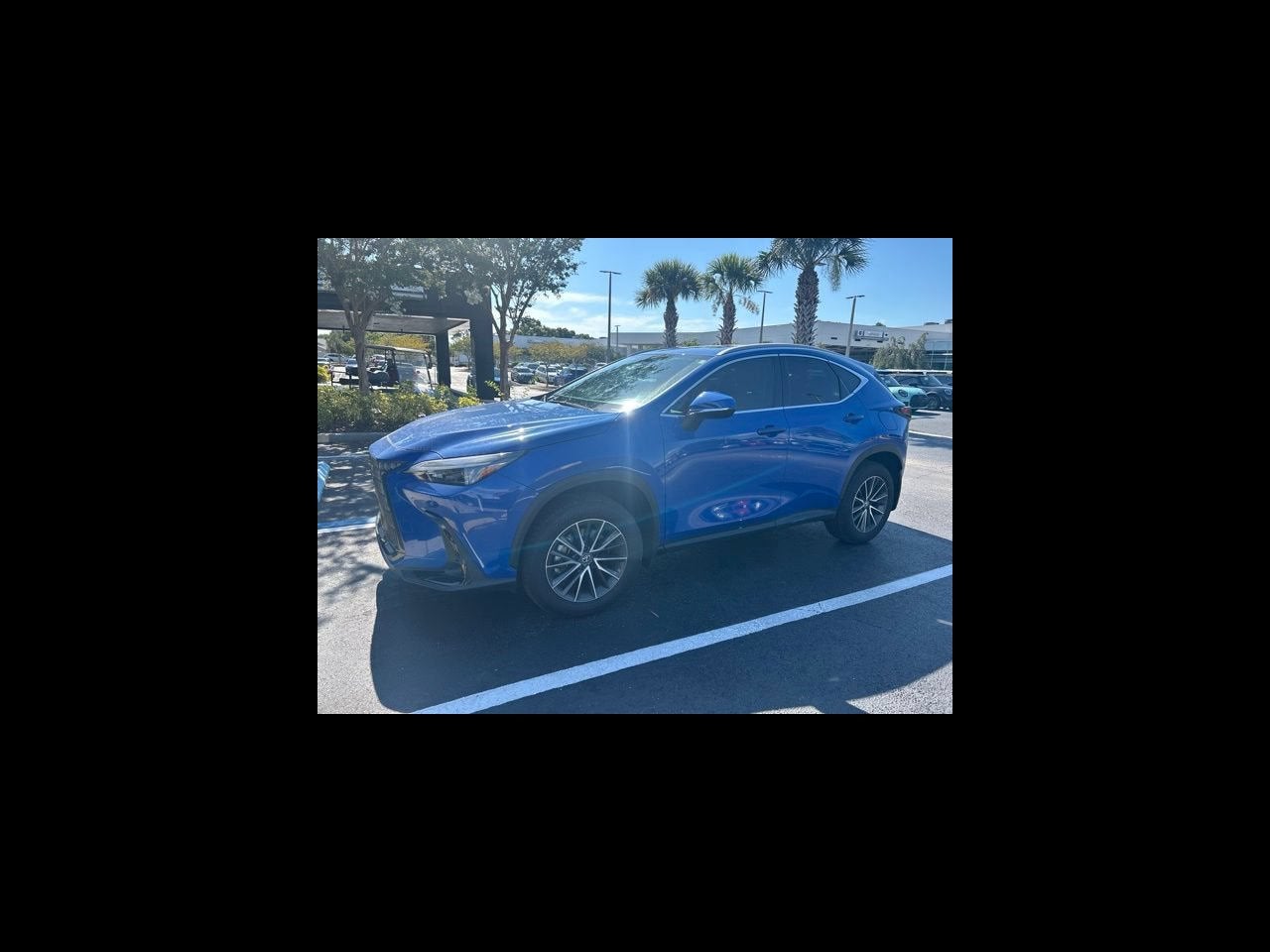 2025 Lexus NX NX 250 Premium