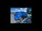 2025 Lexus NX NX 250 Premium