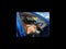 2025 Lexus NX NX 250 Premium
