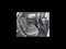 2011 Cadillac SRX Performance Collection