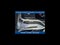 2025 Mercedes-Benz GLE GLE 350 4MATIC®