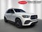 2023 Mercedes-Benz GLE GLE 450