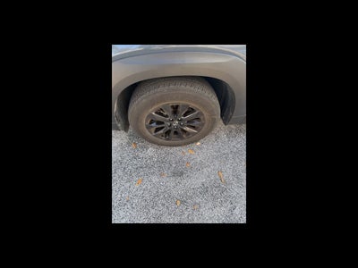 2024 Mazda Mazda CX-50 2.5 S Premium Package