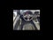 2017 FIAT 124 Spider Abarth