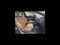 2025 Audi A5 Sportback S line Premium Plus