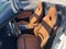 2020 BMW Z4 sDrive30i