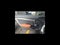2023 MINI HARDTOP 4 DOOR Cooper