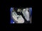 2027 MINI COUNTRYMAN Oxford Plus