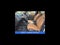 2027 MINI COUNTRYMAN SIGNATURE PLUS