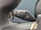 2027 MINI COUNTRYMAN SIGNATURE PLUS