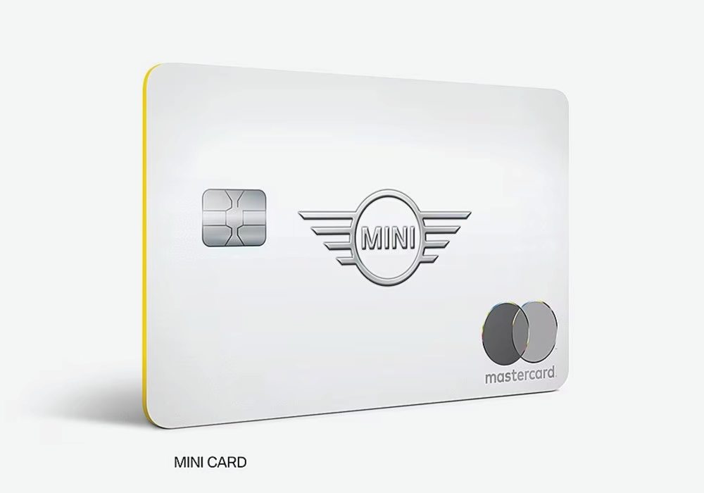 Ferman MINI of Tampa Bay in Palm Harbor FL